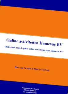 Online activiteiten Hamevac Rapport voorkant